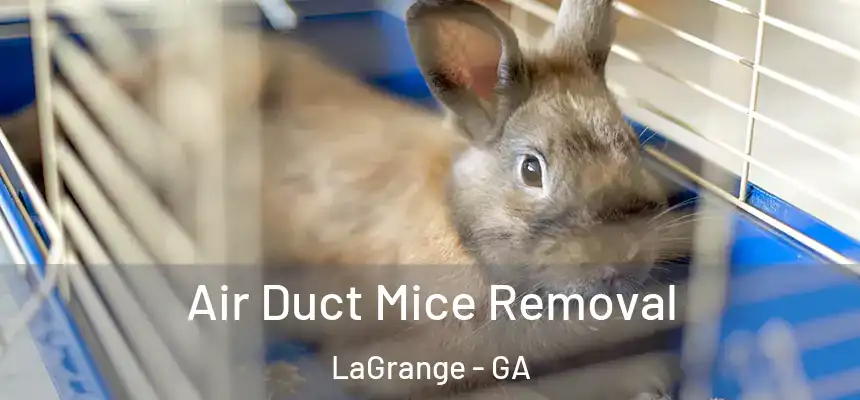  Air Duct Mice Removal LaGrange - GA
