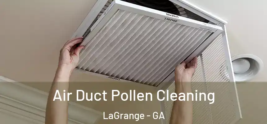  Air Duct Pollen Cleaning LaGrange - GA