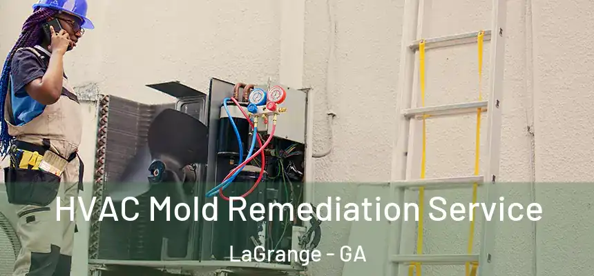  HVAC Mold Remediation Service LaGrange - GA