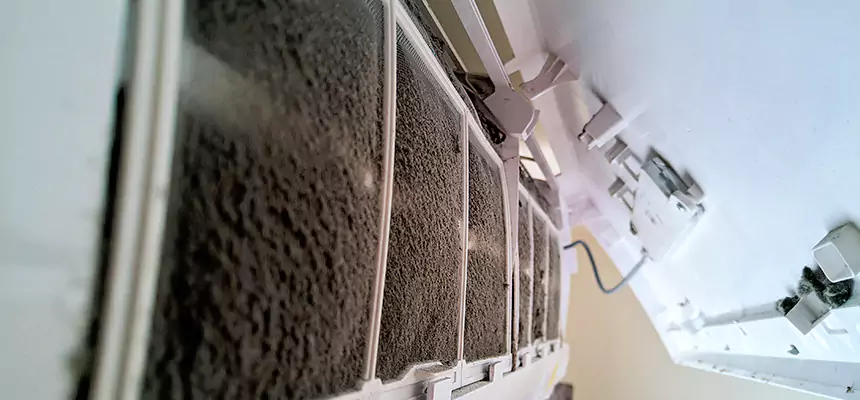 Preventive Air Duct Bacteria Removal in LaGrange