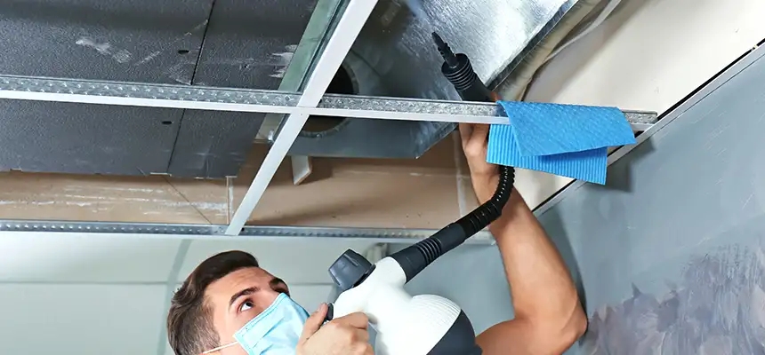 Our Air Duct Rodent Removal Services in LaGrange, GA