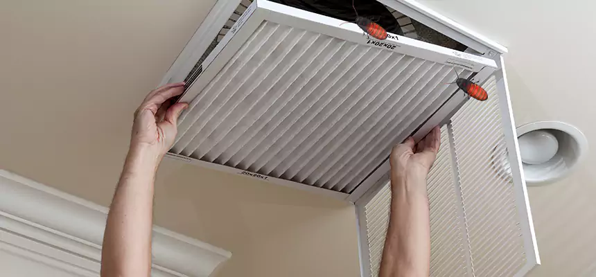 Our Insect Removal from Air Ducts Services in LaGrange, GA