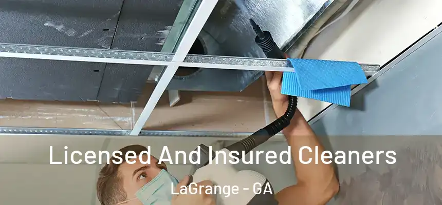  Licensed And Insured Cleaners LaGrange - GA