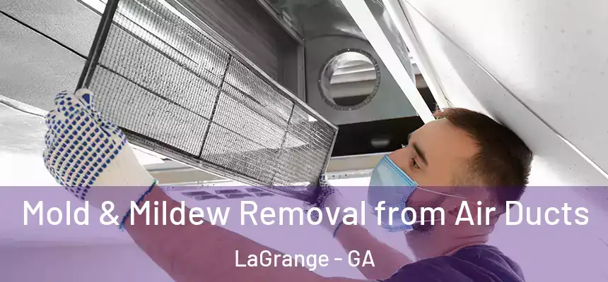 Mold & Mildew Removal from Air Ducts LaGrange - GA