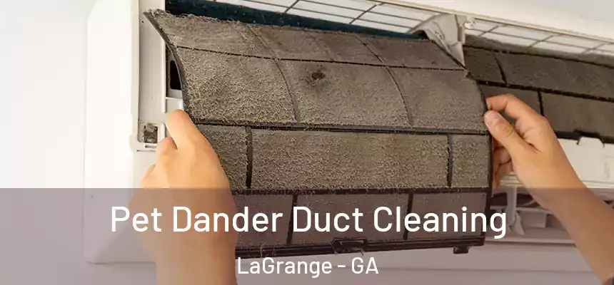Pet Dander Duct Cleaning LaGrange - GA