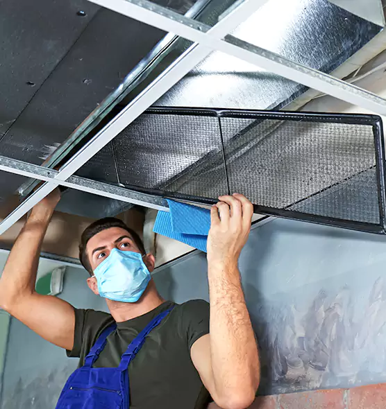 Professional Home Ventilation Cleaning in LaGrange, GA