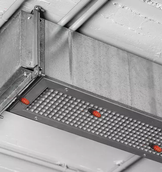 Affordable Insect Removal from Air Ducts in LaGrange, GA