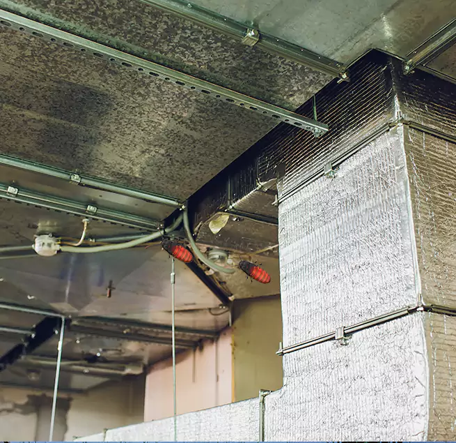 Why Homeowners & Businesses Trust Us in LaGrange, GA?